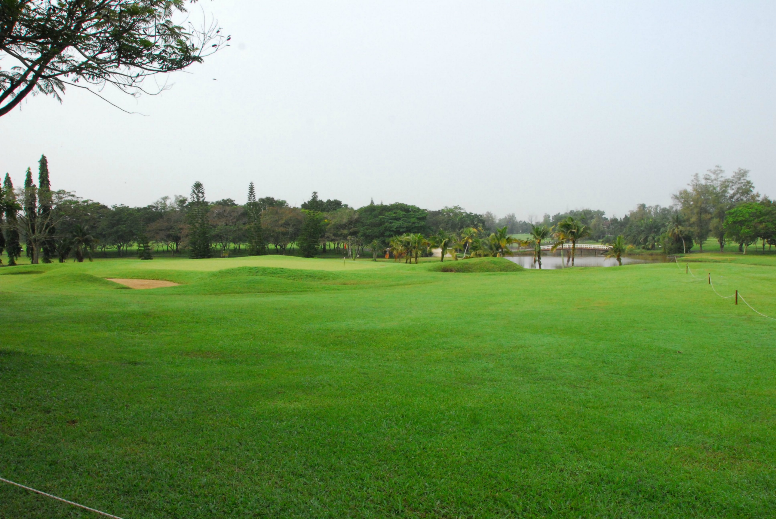 PRO15 157 GOLF DSC 0238.JPG